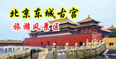 狂操欧美视频中国北京-东城古宫旅游风景区